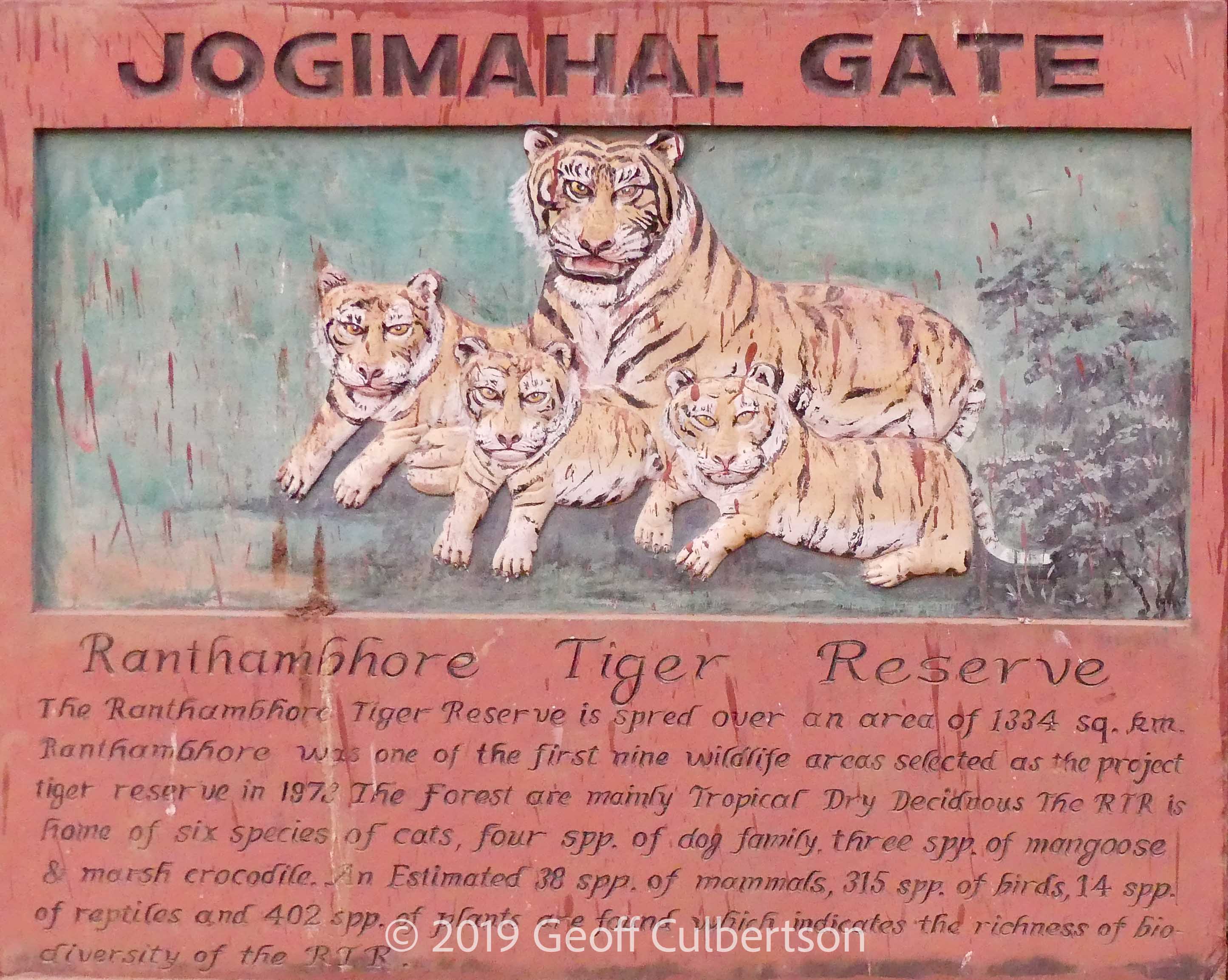Home for 6 species cats, 4 spp dogs, 3 spp mongoose, Marsh crocodile. C. 38 spp of mammals, 315 spp of birds, 14 spp reptiles & 402 spp plants.